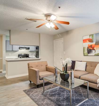 Flats at Riverview apartments in Duluth Georgia photo of living room with ceiling fan