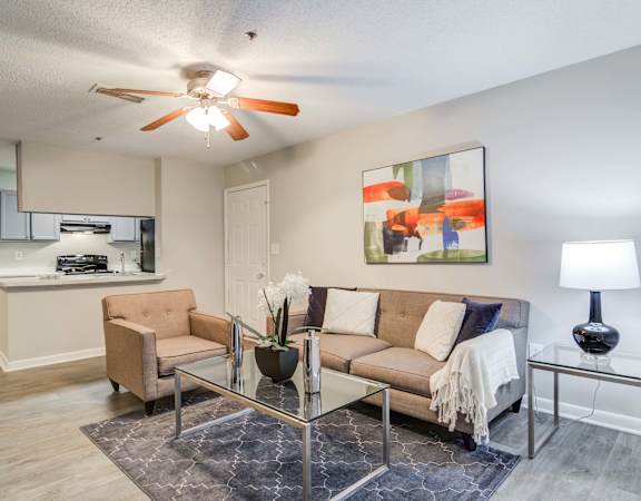Flats at Riverview apartments in Duluth Georgia photo of living room with ceiling fan