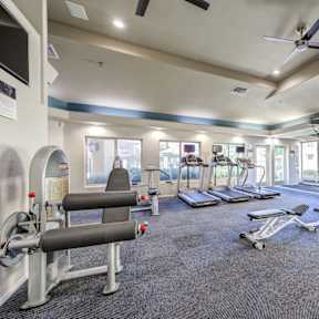 A spacious gym with a variety of equipment including treadmills, weights, and a bench press.