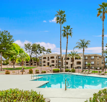 A swimming pool surrounded by palm trees and apartment buildings.