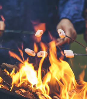 people roasting marshmallows over a fire