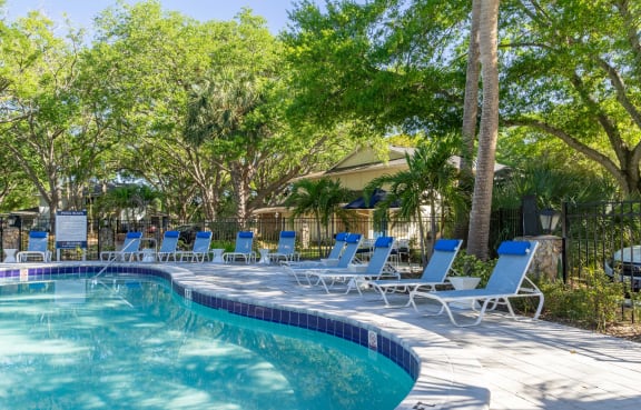 our apartments showcase an unique swimming pool