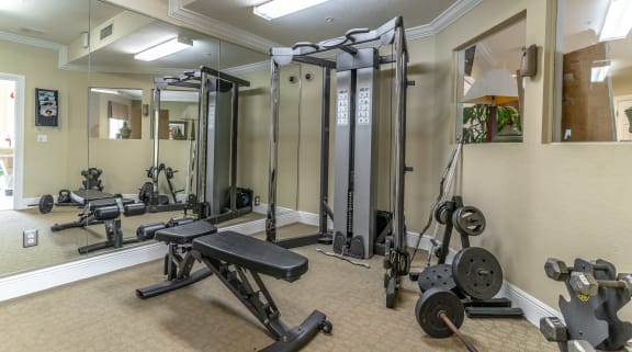 a home gym with weights and cardio equipment