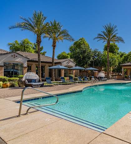 A swimming pool surrounded by palm trees and lounge chairs.