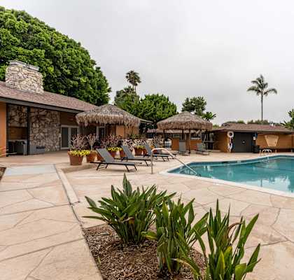 a swimming pool with chaise lounge chairs and palm trees in the background