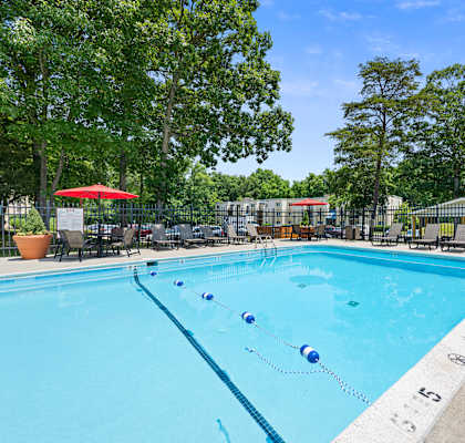 a swimming pool with chairs and umbrellas and trees