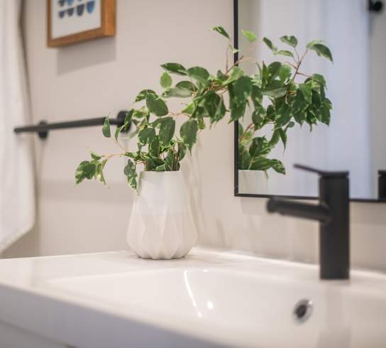 a bathroom with a white sink and a plant in a white vase