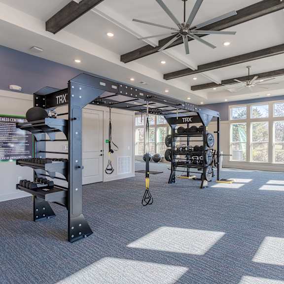 A gym with a variety of equipment including a squat rack, bench press, and a pull up bar.