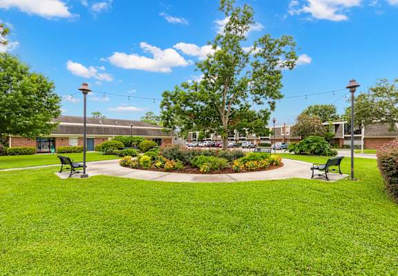 A park with a grassy area, a bench, and a tree.