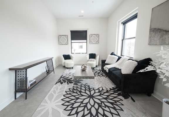 A black and white living room with a rug and a couch at The Annex Apartment, Buffalo, NY, 14222