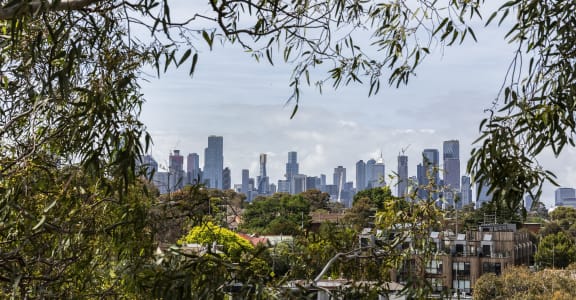 a view of the city from a park with trees