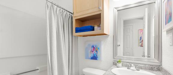 A bathroom with a toilet, sink, and a mirror.