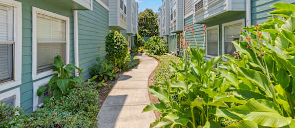 A row of houses with green plants in front.