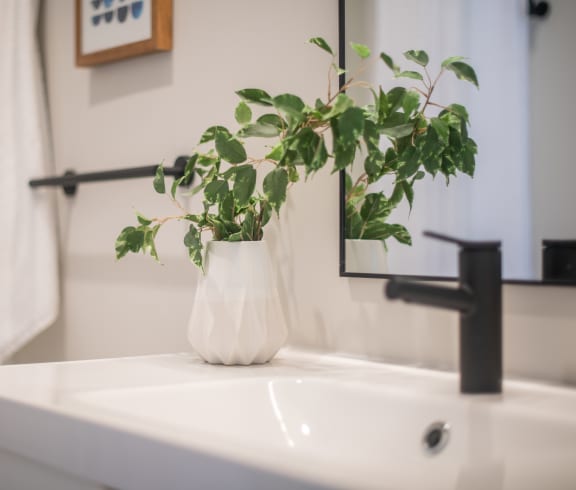 a bathroom with a white sink and a plant in a white vase