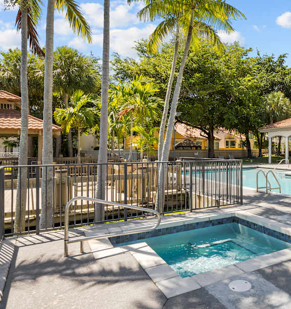 A pool surrounded by palm trees and a metal fence.