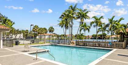 A pool surrounded by palm trees and a fence.