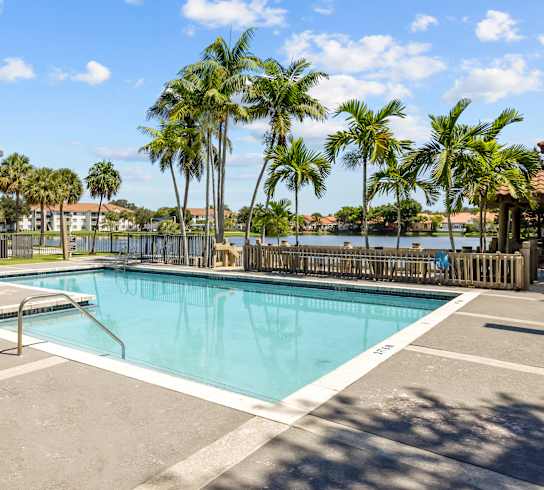 A pool surrounded by palm trees and a fence.