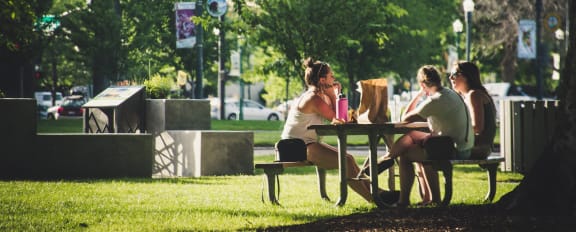 people sitting at a picnic table in a park