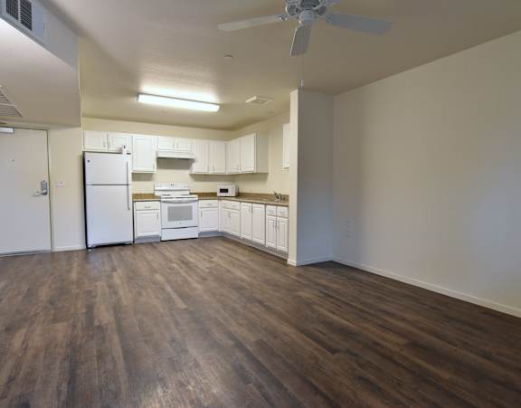 One-Bedroom Living Room and Kitchen