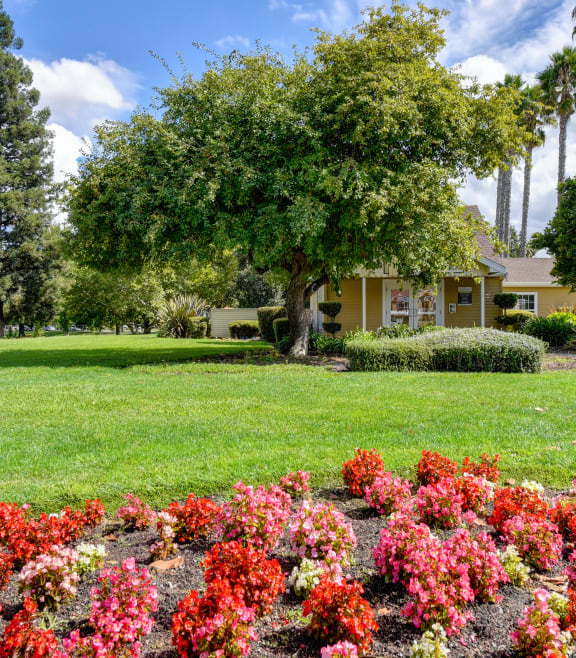 a flower garden in front of a yellow house at Vineyard Terrace Apartments, Napa, California