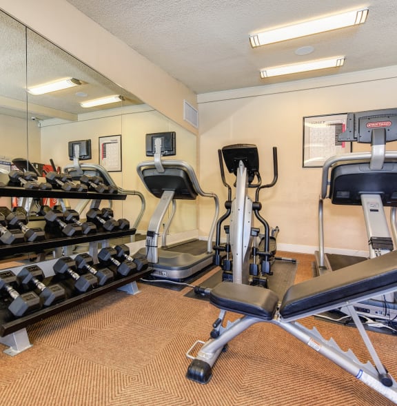 a gym with weights and cardio equipment on the floor and a painting on the wall