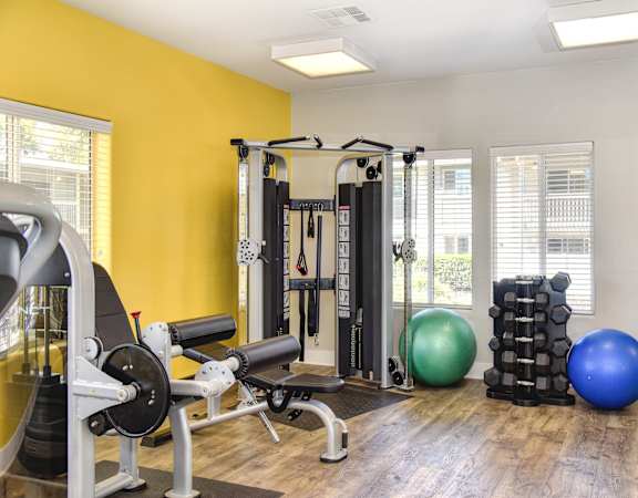 the preserve at ballantyne commons community gym at Renaissance Park Apartments, California, 95618