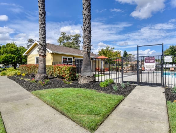 Backside of the leasing office and gated pool gate entry.  Two large/mature palm trees at the gate entrance at Vineyard Terrace Apartments, Napa, CA