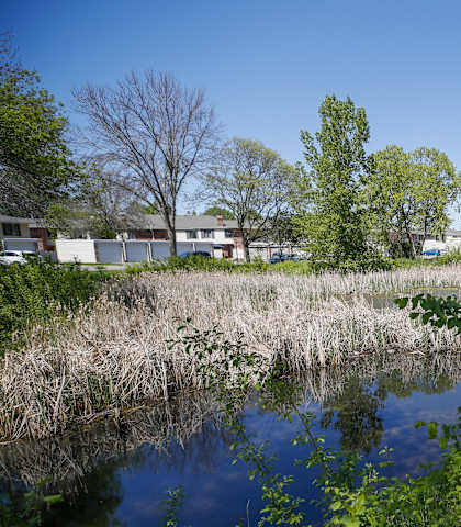 a body of water with houses in the background
