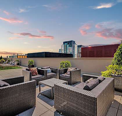 A patio with a couch, chairs and a table with a tree in a planter.
