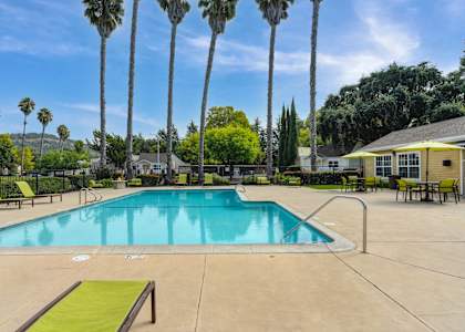 A swimming pool surrounded by palm trees and lounge chairs at Vineyard Terrace Apartments, California