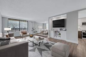 A modern living room with a grey sofa, a coffee table, and a television.