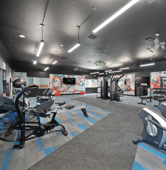 a gym with weights and cardio equipment on the floor and a painting on the wall at Track 281 Apartments, Sacramento, 95811