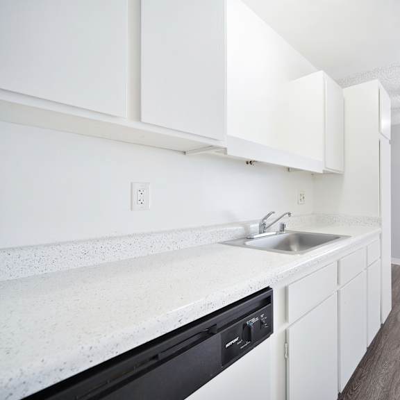 A kitchen with white cabinets and a black dishwasher.
