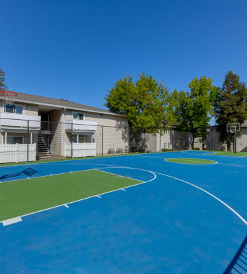 basketball court at the whispering winds apartments in pearland, tx