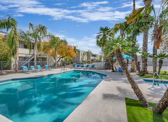 A swimming pool surrounded by palm trees and lounge chairs.