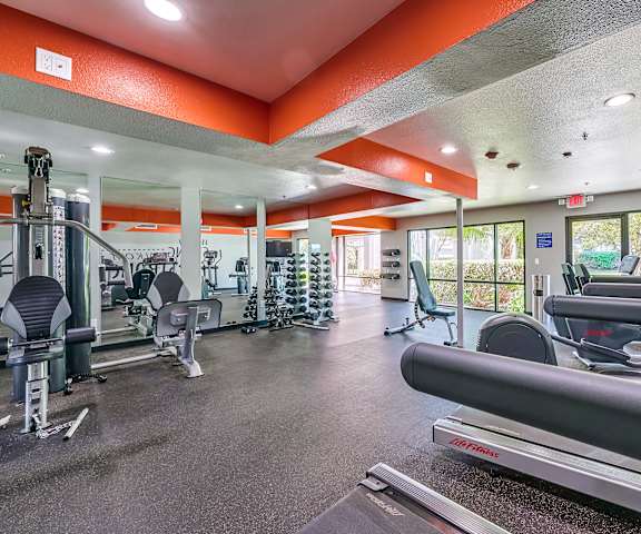 a gym with cardio equipment and weights
