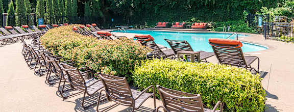 A pool surrounded by trees and chairs.