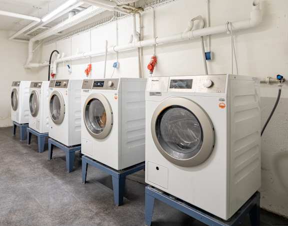 A row of industrial washing machines in a laundry facility.