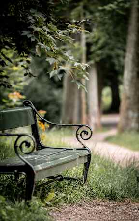 A green bench with a curved back is situated in a grassy area.