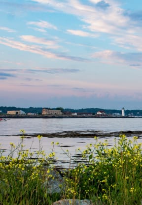 a view of a body of water with a lighthouse in the distance