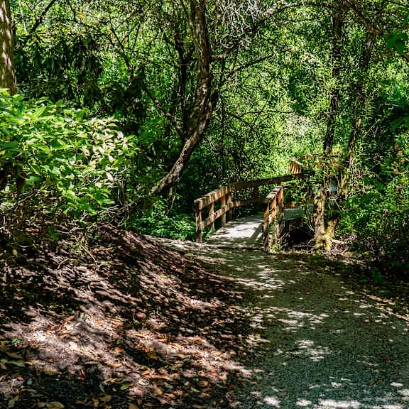 A pathway with a bridge over the ground surrounded by trees with the sunlight streaming through at Windsong Apartment Homes. 