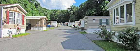 A row of mobile homes with a tree-lined street in the background.