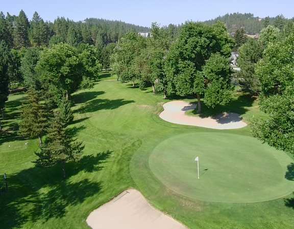 A golf course with a green and a white flag on it.