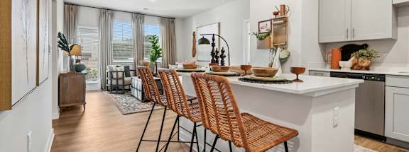 Kitchen Area at The Parker Aiken Apartments, South Carolina