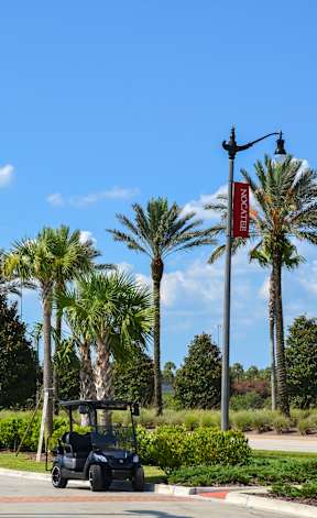 Street with palm trees at Velara Luxury Apartments, Ponte Vedra Beach, FL