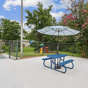 A blue picnic table is in the middle of a concrete patio.