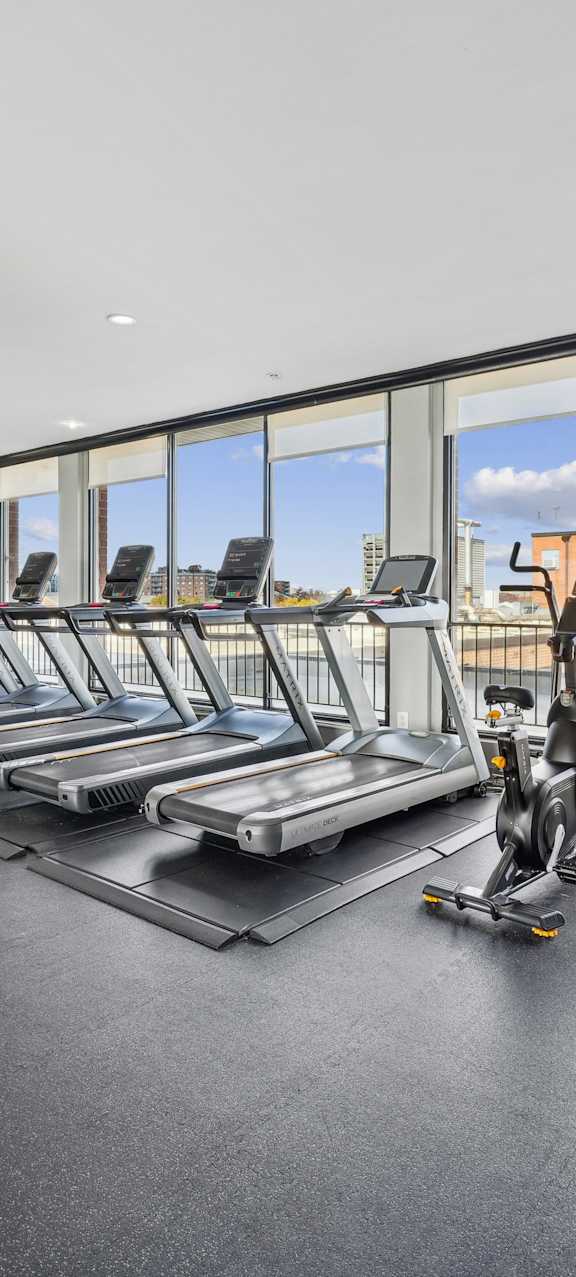 A gym with treadmills and exercise bikes.