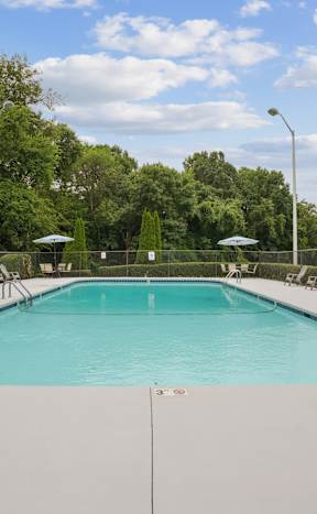 A large swimming pool surrounded by trees and chairs.