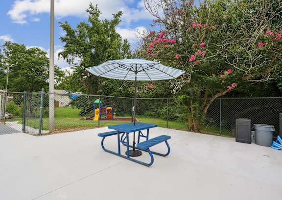 Blue Picnic Table at The Highlands Apartments, Charlotte, 28217