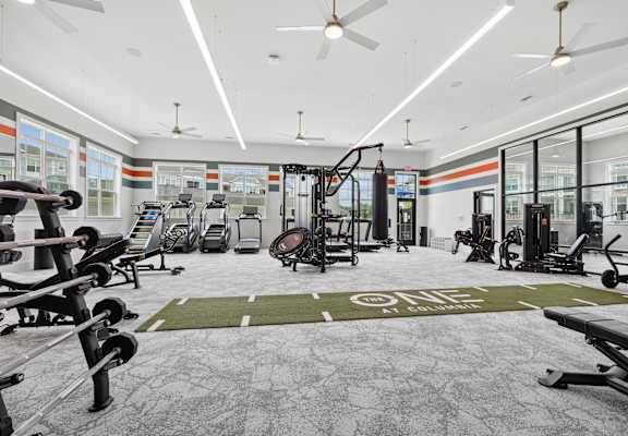 A gym with a variety of equipment including treadmills, weights, and exercise machines.